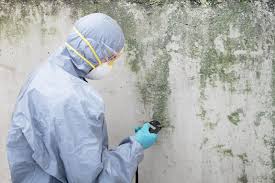 Best Mold Removal for HVAC Installations in Port Arthur, TX